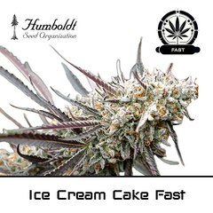 Product_Ice Cream Cake Fast Flowering - Humboldt Seeds_Cannadusa_Marketplace_Buy