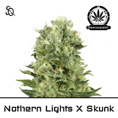 Product_Northern Lights X Skunk_Cannadusa_Marketplace_Buy