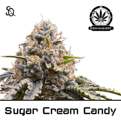 Product_Sugar Cream Candy_Cannadusa_Marketplace_Buy