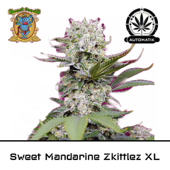 Product_Auto Sweet Mandarine Zkittlez XL - Sweet Seeds_Cannadusa_Marketplace_Buy