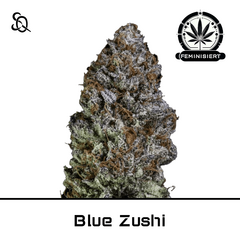 Product_Blue Zushi_Cannadusa_Marketplace_Buy