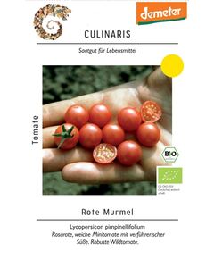 Product_Wildtomate Rote Murmel_Cannadusa_Marketplace_Buy