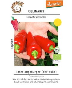 Paprika Roter Augsburger