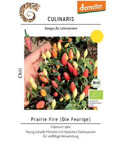 Product_Chili Prairie Fire_Cannadusa_Marketplace_Buy