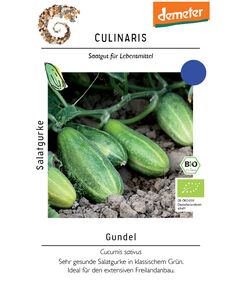 Produkt_Salatgurke Gundel__Cannadusa_Marktplatz_Kaufen