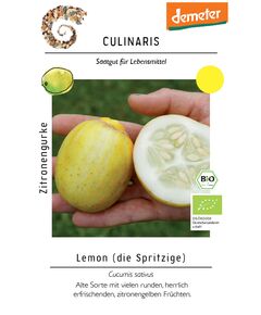 Produkt_Zitronengurke, Lemon__Cannadusa_Marktplatz_Kaufen