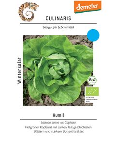 Produkt_Wintersalat Humil__Cannadusa_Marktplatz_Kaufen