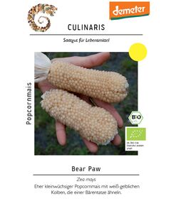 Product_Popcornmais Bear Paw_Cannadusa_Marketplace_Buy