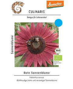 Produkt_Rote Sonnenblume__Cannadusa_Marktplatz_Kaufen