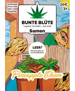 Product_Bunte Blüte Cannabis Samen Auto-Flowering_Cannadusa_Marketplace_Buy