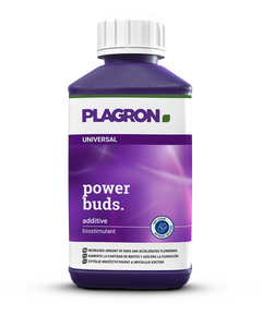 Produkt_Plagron Power Buds 250 ml__Cannadusa_Marktplatz_Kaufen