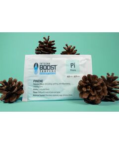 Produkt_Integra Boost Terpene Pinene 62% 67g__Cannadusa_Marktplatz_Kaufen