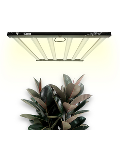 Product_Led Lucius 720w 2.6 Black Label_Cannadusa_Marketplace_Buy