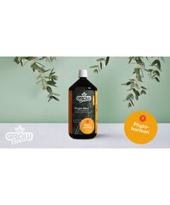 GrowCrew - Phyto Med (Phytohormon) | 1 Liter