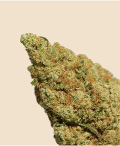 Product_Amnesia Haze CBD Flower_Cannadusa_Marketplace_Buy