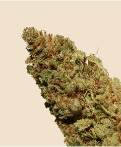 Product_Critical CBD Flower_Cannadusa_Marketplace_Buy