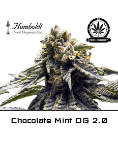 Product_Chocolate Mint OG 2.0 - Humboldt Seeds_Cannadusa_Marketplace_Buy