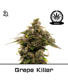 Product_Grape Killer Early Version_Cannadusa_Marketplace_Buy