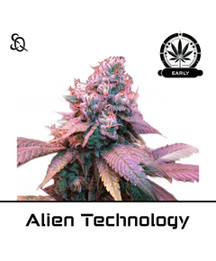 Produkt_Alien Technology Early Version__Cannadusa_Marktplatz_Kaufen