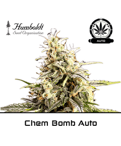 Product_Chem Bomb Auto - Humboldt Seeds_Cannadusa_Marketplace_Buy