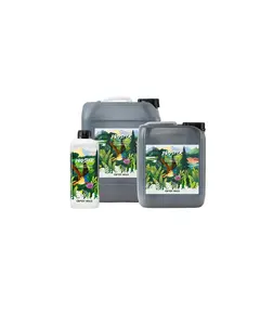 Product_Crazy Hills Prosper_Cannadusa_Marketplace_Buy