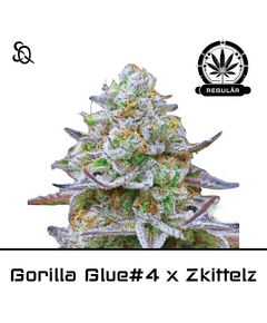 Product_GG#4 x Zkittlez Regulär_Cannadusa_Marketplace_Buy