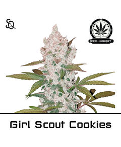 Product_Girl Scout Cookies_Cannadusa_Marketplace_Buy