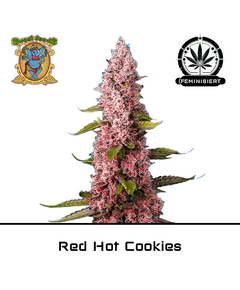 Product_Red Hot Cookies - Sweet Seeds_Cannadusa_Marketplace_Buy