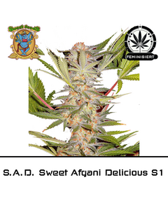 Product_SAD S1 Sweet Afghani Delicious - Sweet Seeds_Cannadusa_Marketplace_Buy