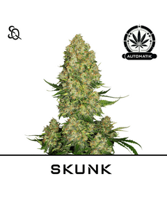 Product_Automatik Skunk_Cannadusa_Marketplace_Buy