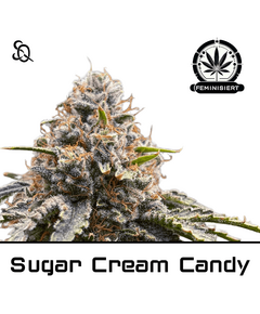 Product_Sugar Cream Candy_Cannadusa_Marketplace_Buy