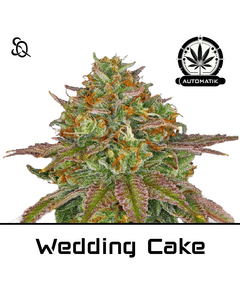 Product_Automatik Wedding Cake_Cannadusa_Marketplace_Buy