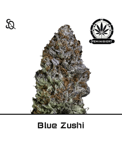 Product_Blue Zushi_Cannadusa_Marketplace_Buy