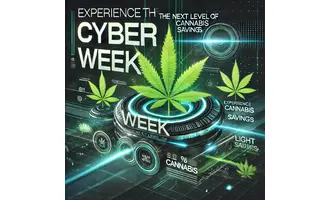 Cyber Weekend bei Cannadusa – Verlängerte Angebote am 30. November und 1. Dezember 2024!