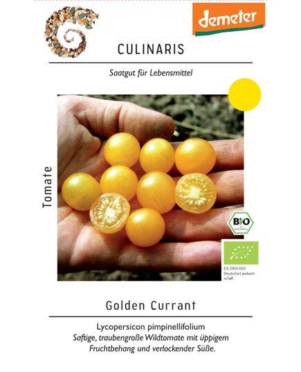 Produkt_Wildtomate Golden Currant__Cannadusa_Marktplatz_Kaufen