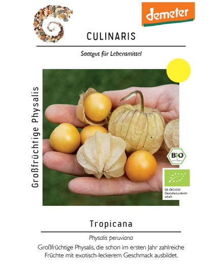 Produkt_Großfrüchtige Physalis Tropicana__Cannadusa_Marktplatz_Kaufen