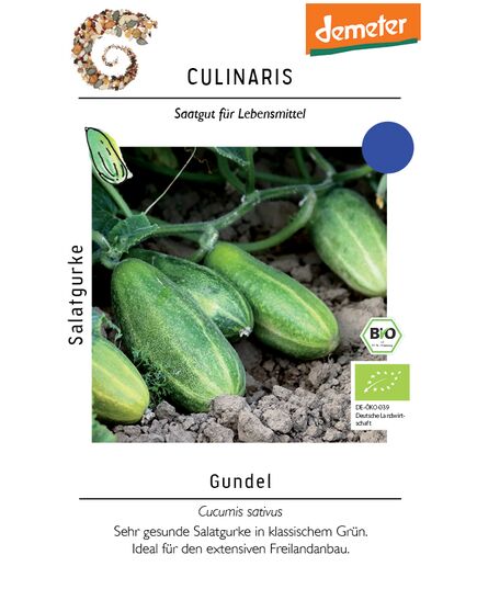 Produkt_Salatgurke Gundel__Cannadusa_Marktplatz_Kaufen