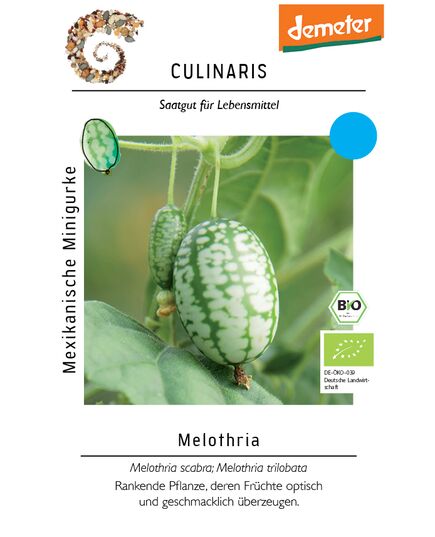 Product_Mexikanische Minigurke_Cannadusa_Marketplace_Buy