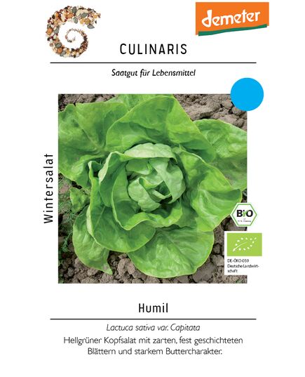 Produkt_Wintersalat Humil__Cannadusa_Marktplatz_Kaufen