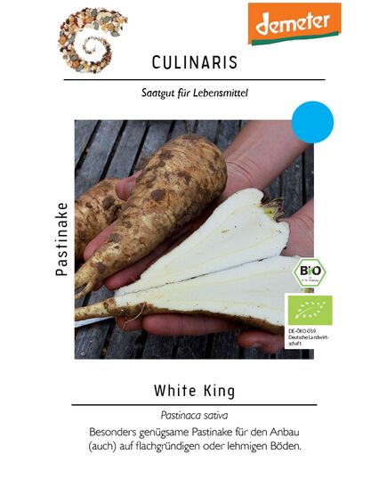 Produkt_Pastinake White King__Cannadusa_Marktplatz_Kaufen