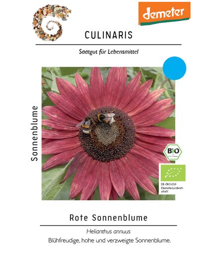 Produkt_Rote Sonnenblume__Cannadusa_Marktplatz_Kaufen