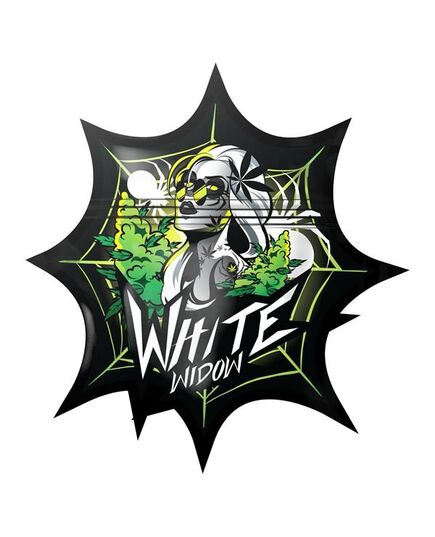 Produkt_Mylar Bag Geruchsdicht White Widow 10 Stück__Cannadusa_Marktplatz_Kaufen