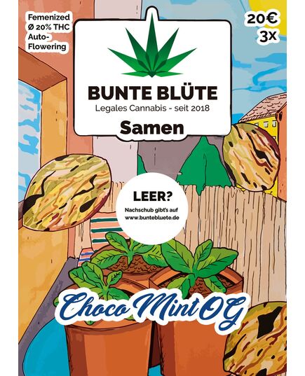 Produkt_Bunte Blüte Choco Mint OG Auto-Flowering__Cannadusa_Marktplatz_Kaufen