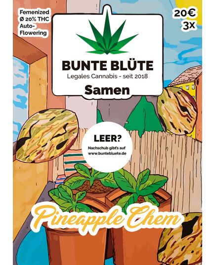 Produkt_Bunte Blüte Pineapple Chem Auto-Flowering__Cannadusa_Marktplatz_Kaufen