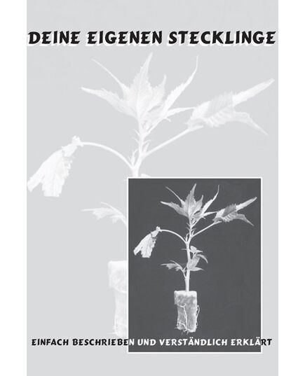 Produkt_Deine eigenen Stecklinge__Cannadusa_Marktplatz_Kaufen