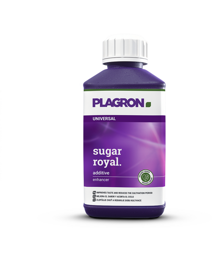 Produkt_Plagron Sugar Royal 250 ml__Cannadusa_Marktplatz_Kaufen