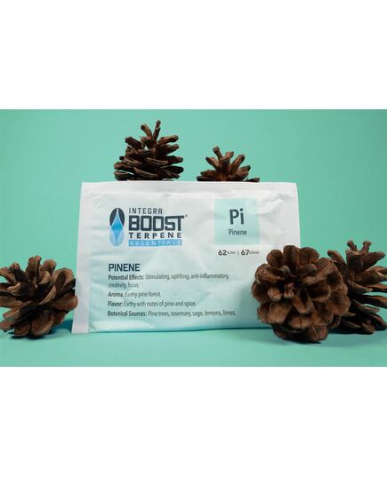 Produkt_Integra Boost Terpene Pinene 62% 67g__Cannadusa_Marktplatz_Kaufen