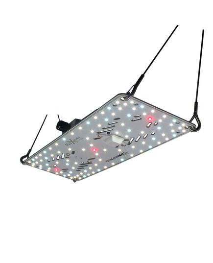 Produkt_BloomStar FLUXshield Habibi 150 - 50W Vollspektrum__Cannadusa_Marktplatz_Kaufen