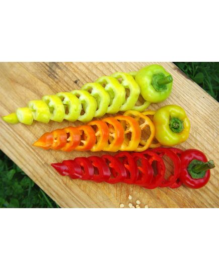 Paprika Roter Augsburger_3