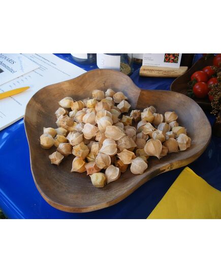 Product_Physalis Dulceria, 3 image_Cannadusa_Marketplace_Buy